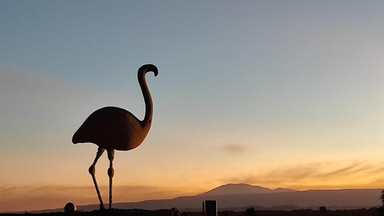 Cabanas Voyage Atacama ซานเปโดร เด อาตากามา ภายนอก รูปภาพ