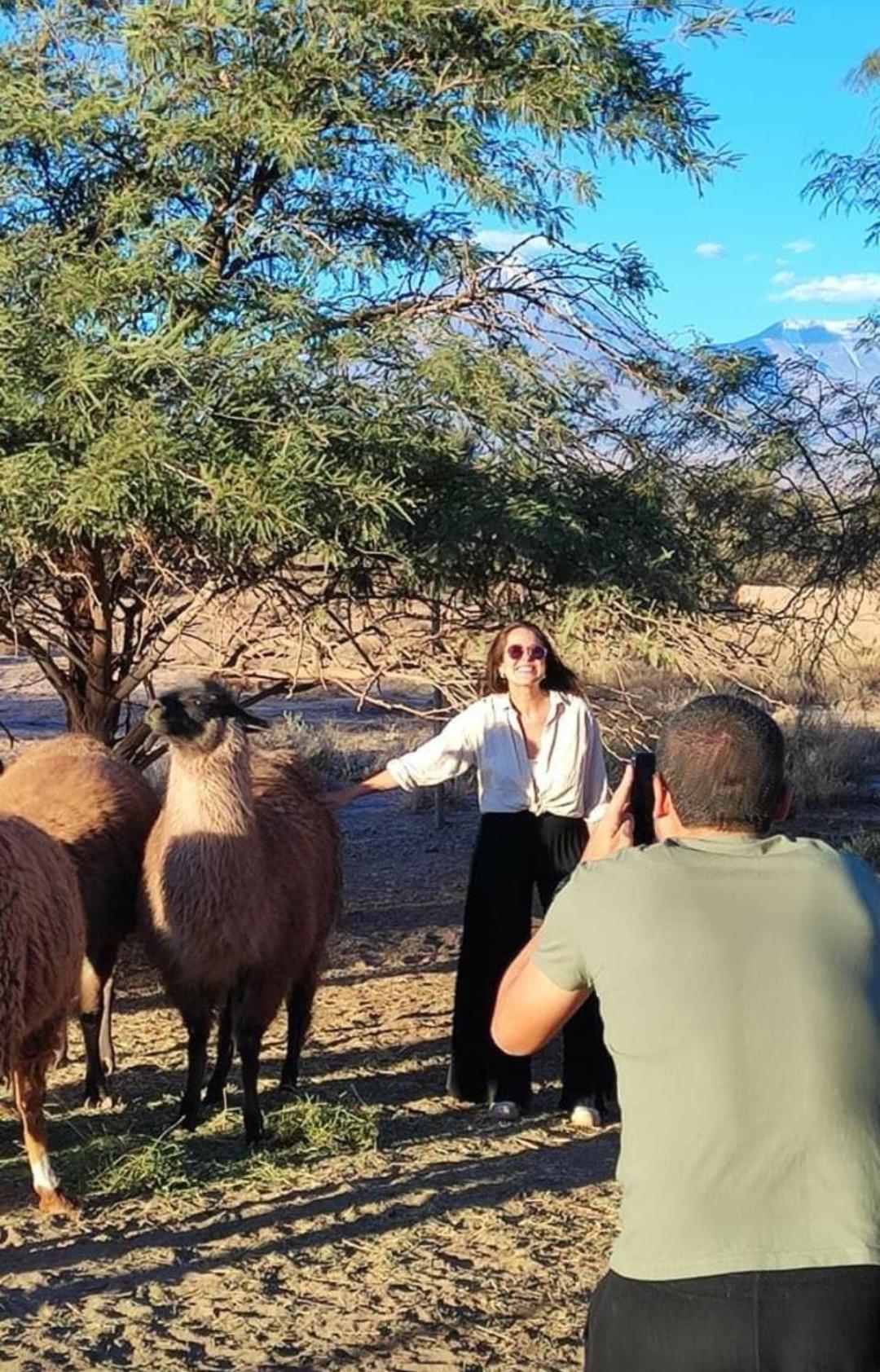 Cabanas Voyage Atacama ซานเปโดร เด อาตากามา ภายนอก รูปภาพ