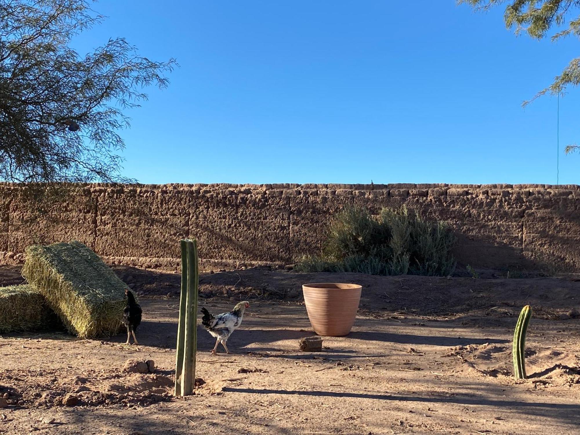 Cabanas Voyage Atacama ซานเปโดร เด อาตากามา ภายนอก รูปภาพ